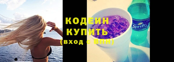 хмурый Арсеньев
