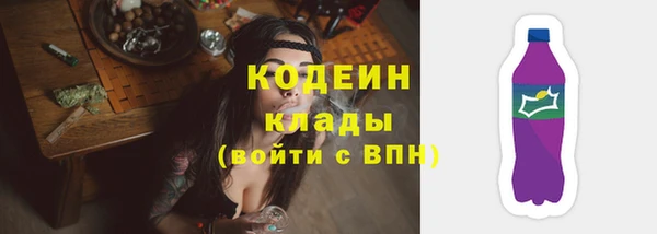 хмурый Арсеньев