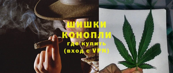 хмурый Арсеньев